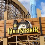 CGA_GoldStriker_02-250×175