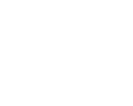 WorldStrides